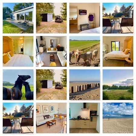 Вілла Natuurhuis Zeeuwse Rust Voor Wandelingen Aan Zee, Fietstochten In Natuur En Culinair Genieten IJzendijke Екстер'єр фото
